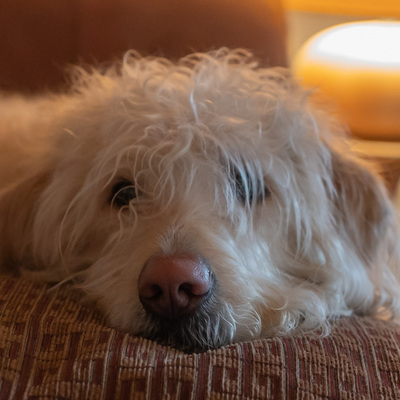 GetCarter@mastodonapp.uk