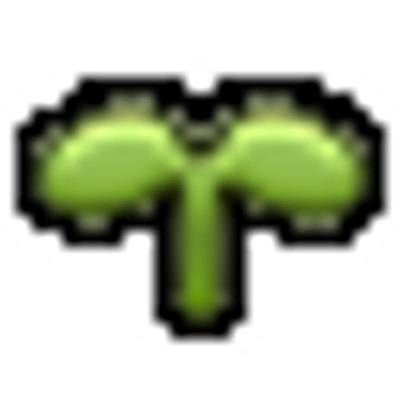 sprout